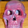 Two Toned Human Skull