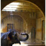 elephant bathing no.2