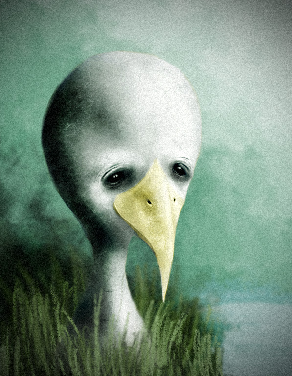 The ugly duckling