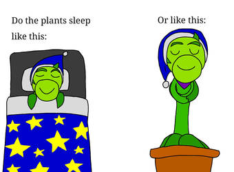 How plants sleep