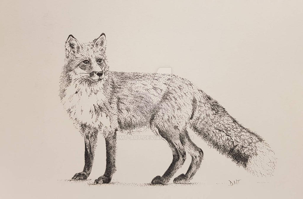 Fox Drawing Alt Fox by DMT-Art on DeviantArt