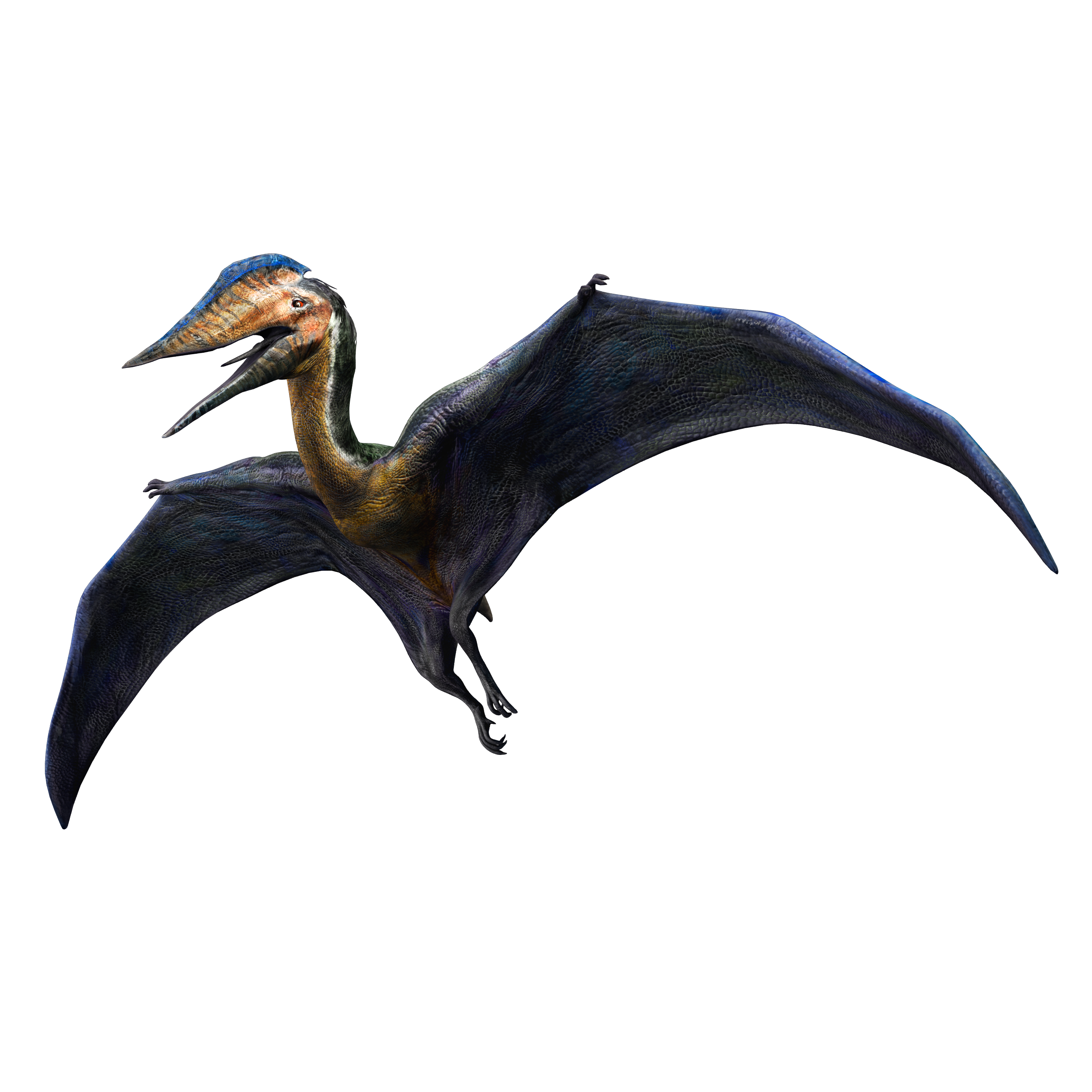 Atrocodistis Jurassic World Alive Hatzegopteryx render 2 by DanielUnicomb on DeviantArt