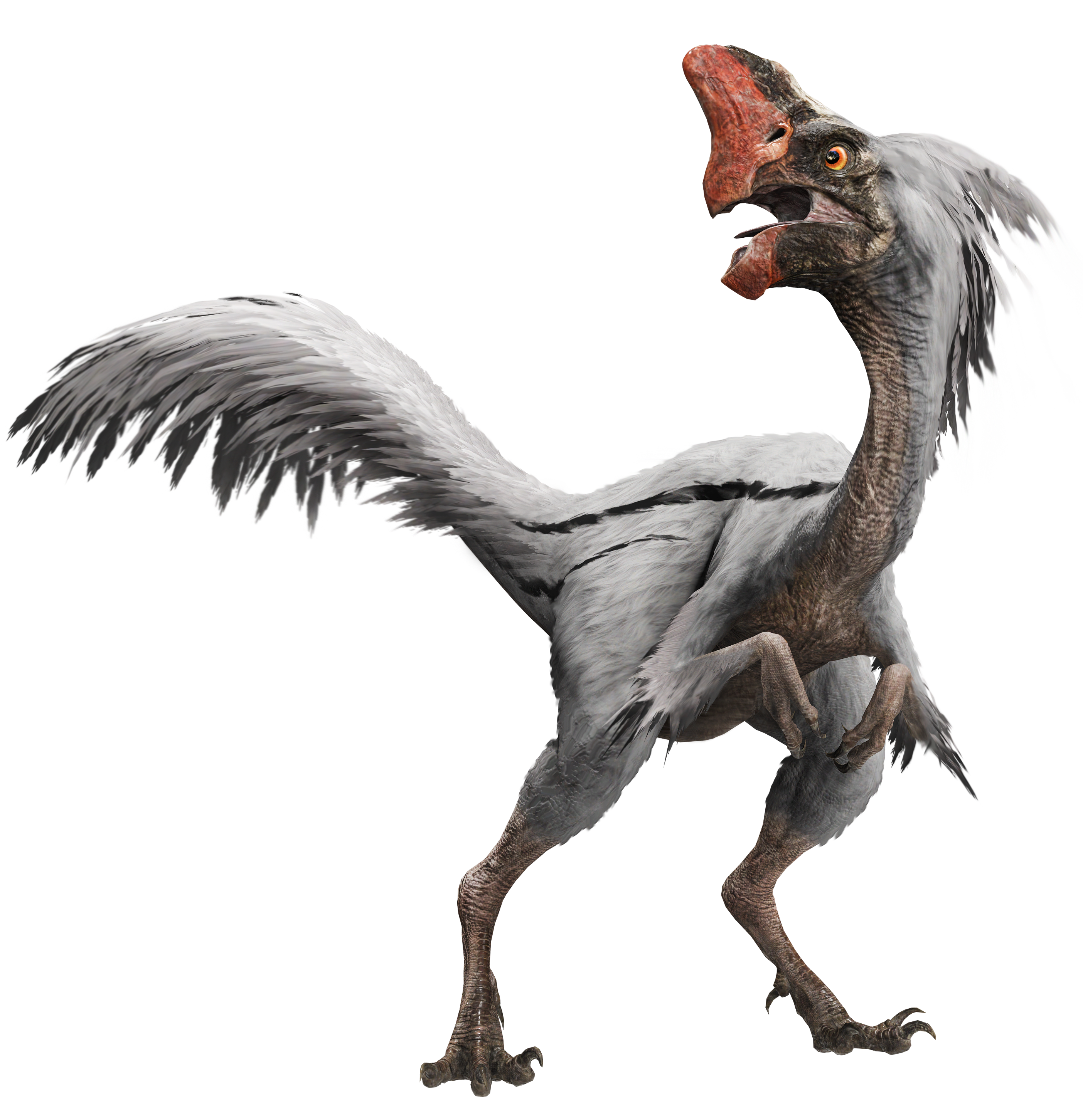 Aviraptor Jurassic World Dominion Oviraptor render by DanielUnicomb on DeviantArt