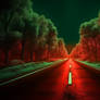 Road green and Forest red with Fall image