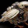 mechanical duck, transparent