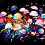 Rainbow a colorful a jellyfish Splash series 2