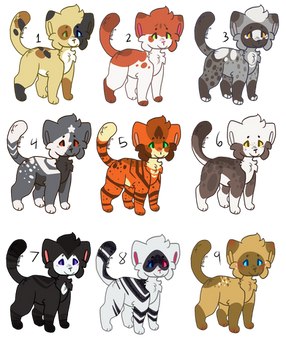 [ OPEN ] 30 Point Cat Adopts