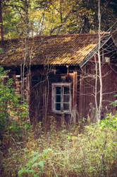 Old house