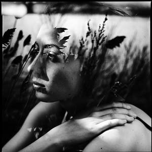 untitled by sandae untitled by sandae
