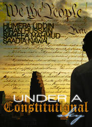 Under a Constitutional Sky