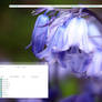 Aug Desktop