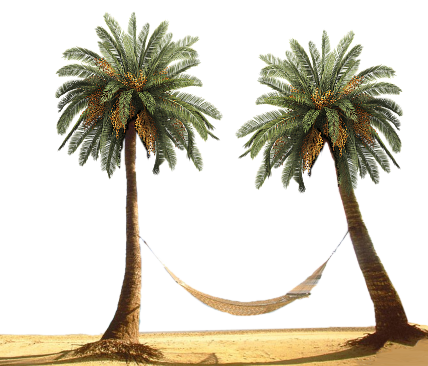 Palm Tree by designway24