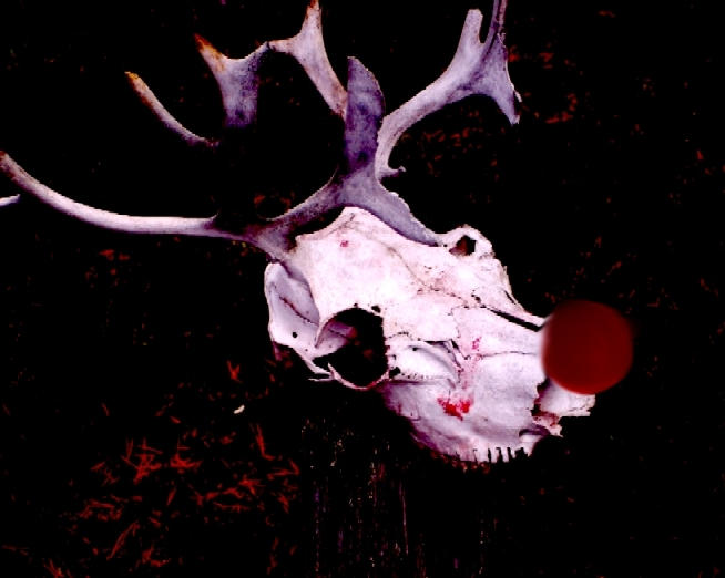 who forgot to feed Rudolf by REMYxLEBEAU on DeviantArt