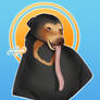 Sun Bear