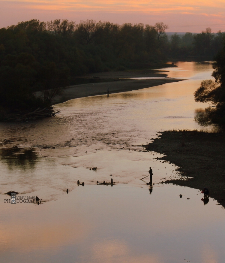 The Last Fisherman