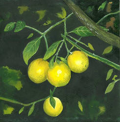 Lemons