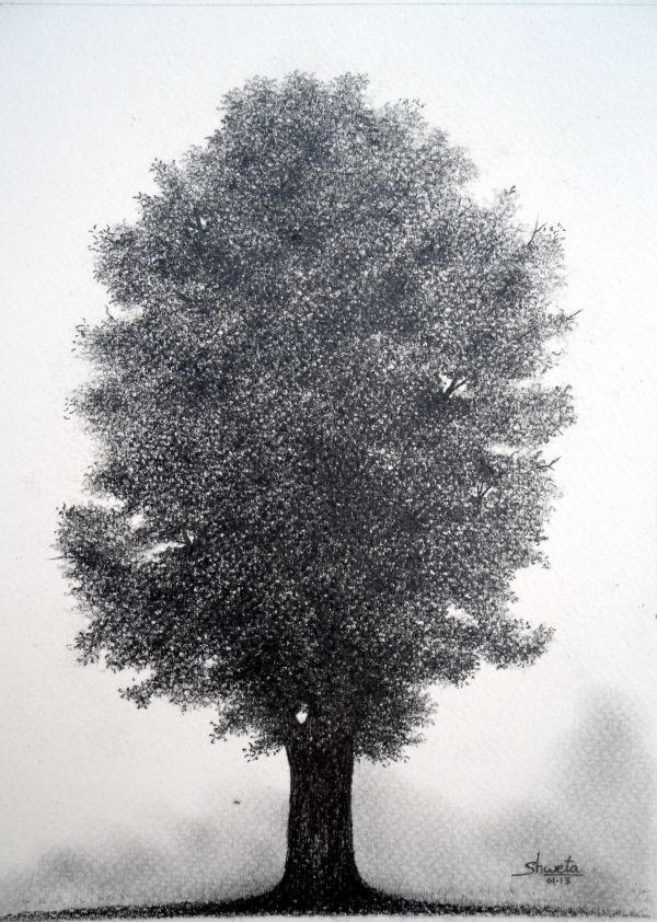 Tree Drawing by aakritiarts on DeviantArt