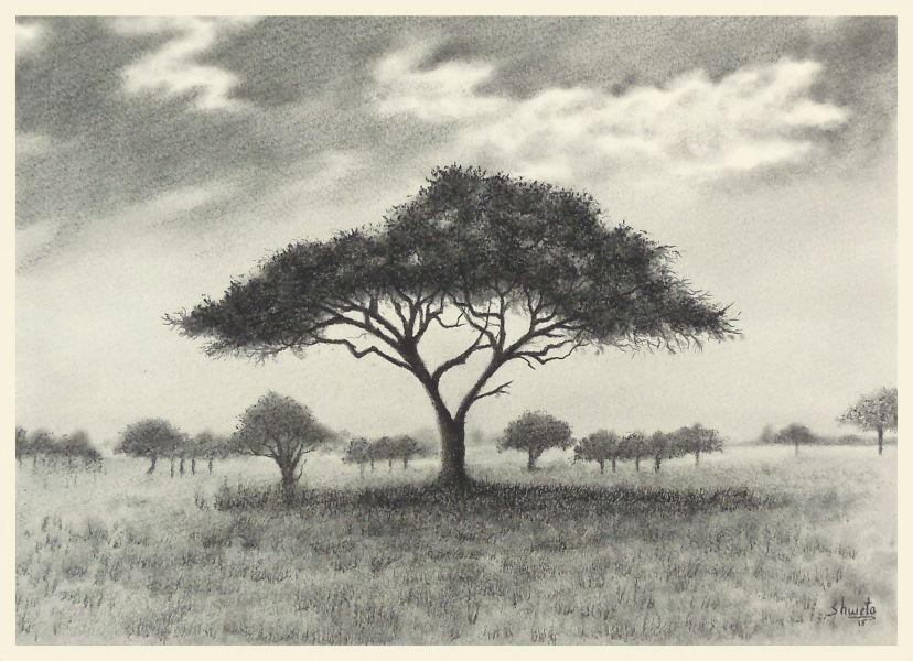 African Acacia by aakritiarts
