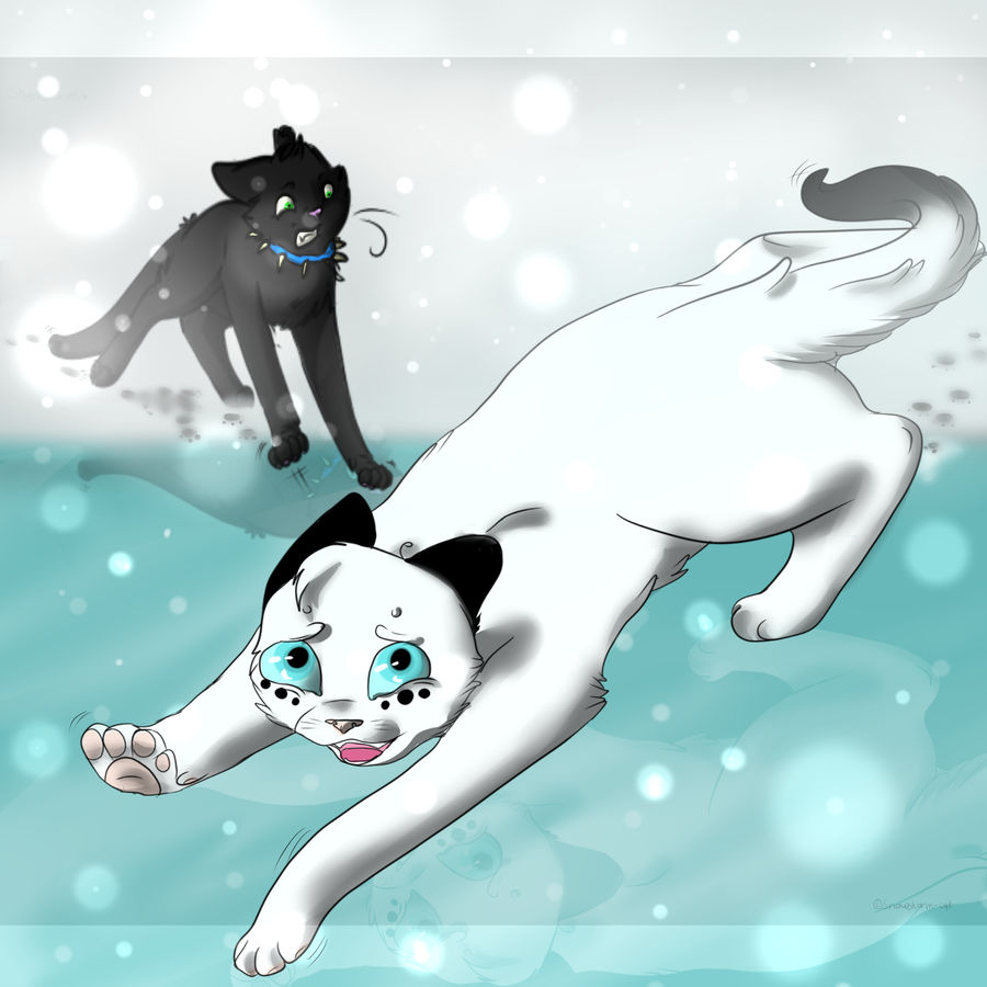 .:icy and suspicious:. COLLAB