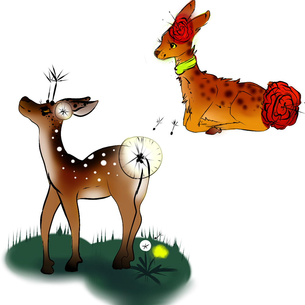 Deer Adopts