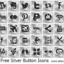 Free Silver Button Icons