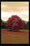 Red Tree by dark4Maxine