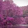 Purple Bridge