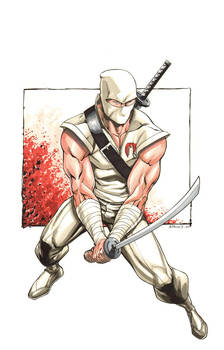 Storm Shadow 4