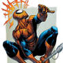 Spiderman Colored