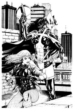 JLA Jan. Black Canary and Huntress SOTD