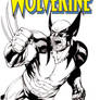 Wolverine SOTD
