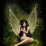 Forest Fairy