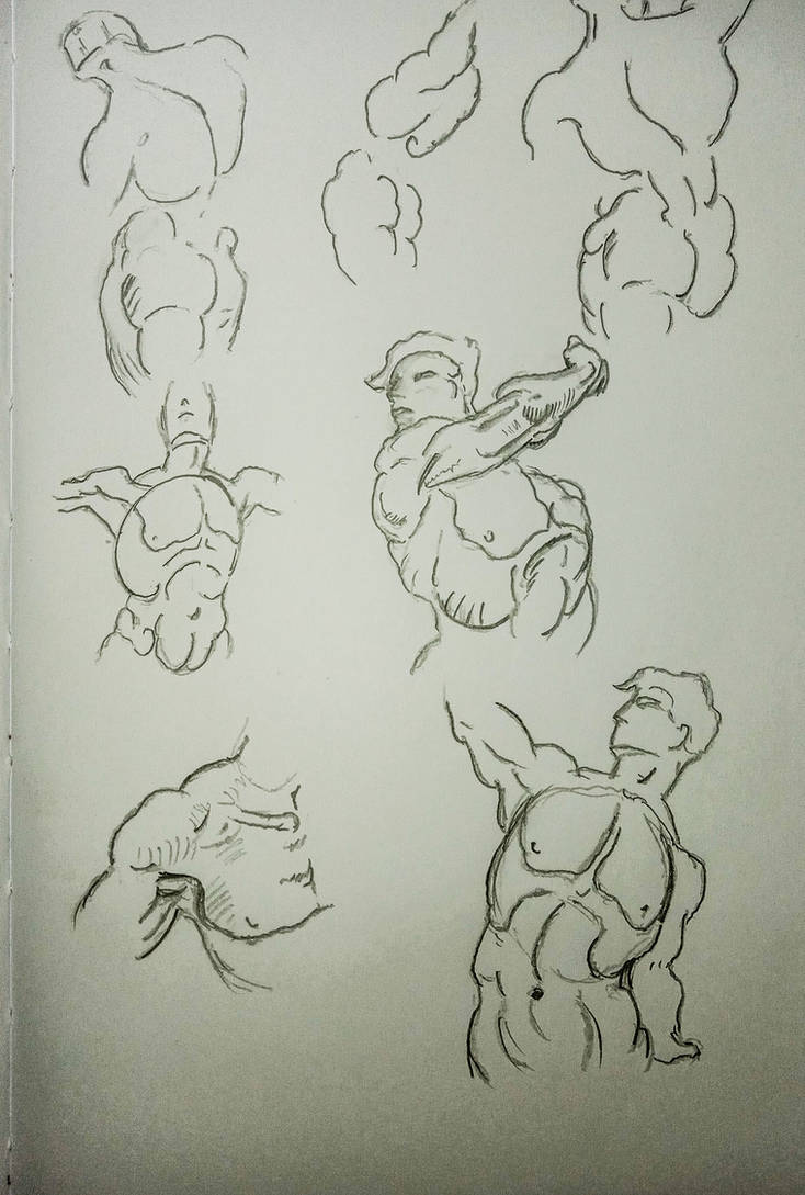 Writhing Torso Torso studies 1 by LuridInsanity on DeviantArt