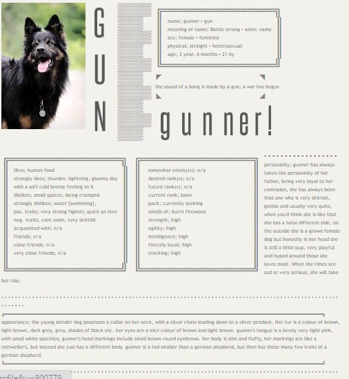 Gunner - Character Form by GunnerShootsYou on DeviantArt