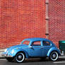 Beetle