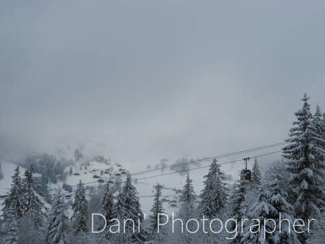 . .. .... .. ... Dani' Photographer .. .... . Snow