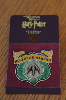 HollyHead Harpies Pin