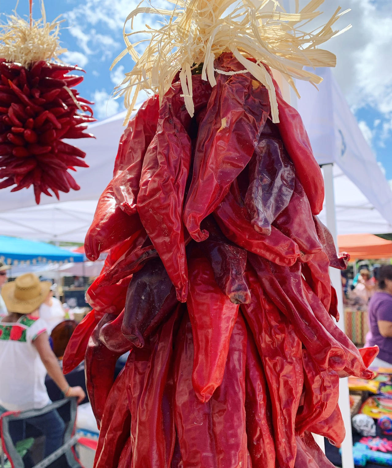 Chile Ristra by ArtsyAureiya on DeviantArt