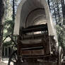 You Died on the Oregon Trail