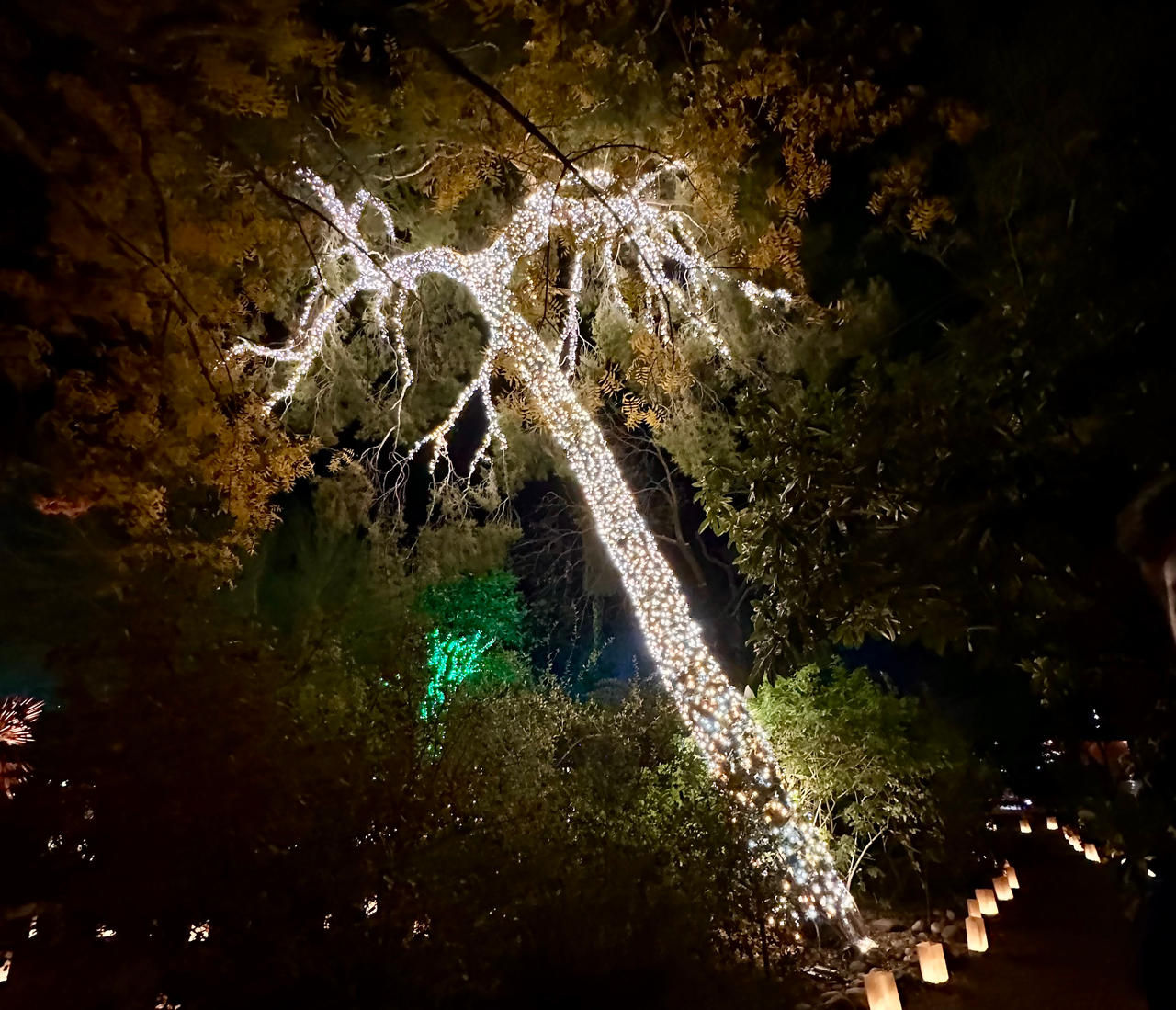 Electricity Tree by ArtsyAureiya on DeviantArt