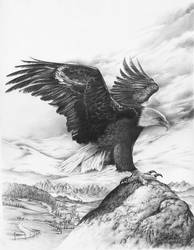 eagle