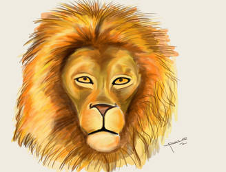 Lion Portrait by ricksd