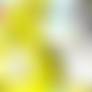 Golden week 2026