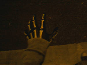 Shadow hand