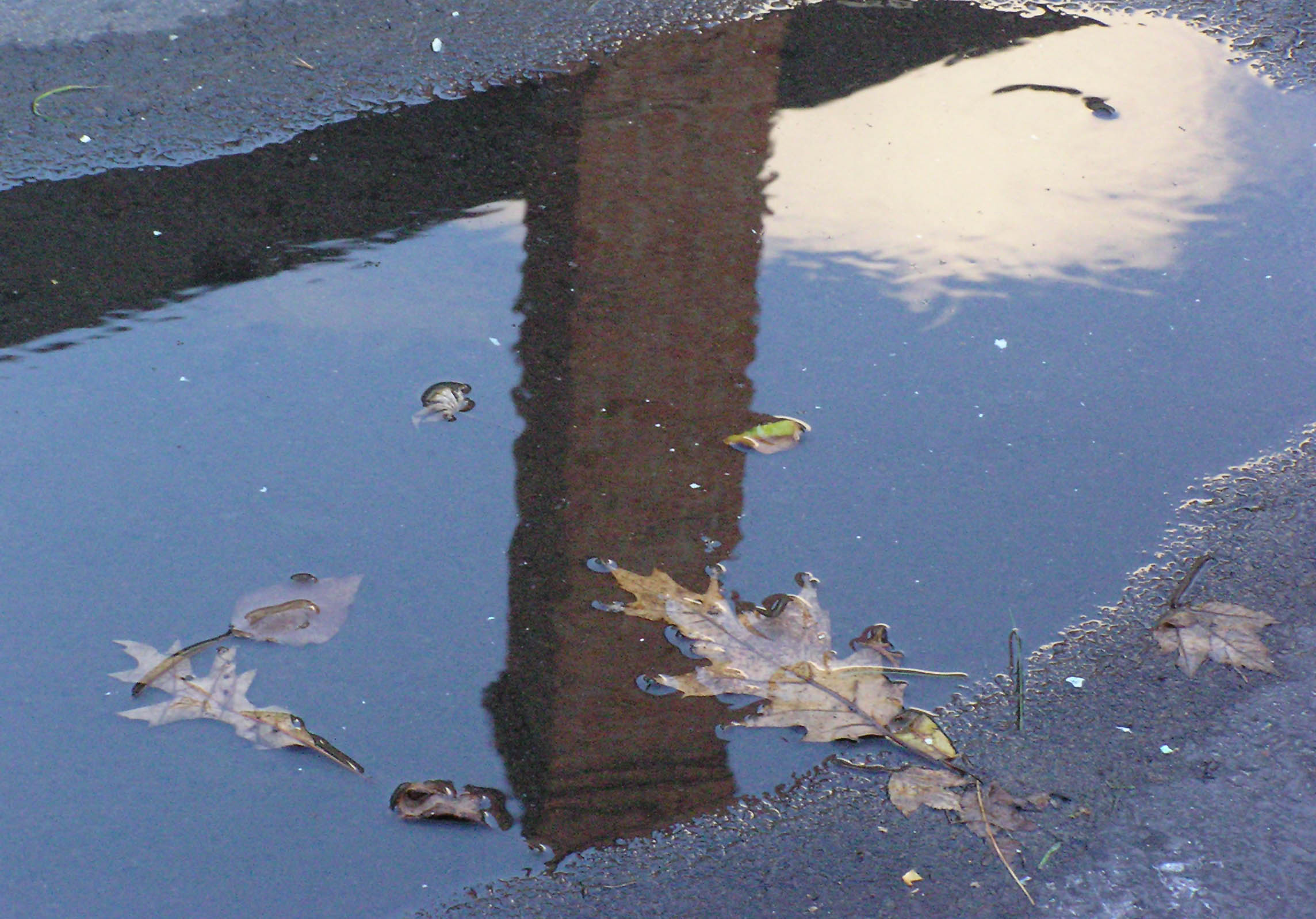 puddle of reflection by jp69 on DeviantArt