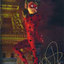 Miraculous Ladybug Autograph