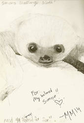 Baby Sloth for Simon