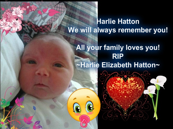 RIP Harlie Hatton