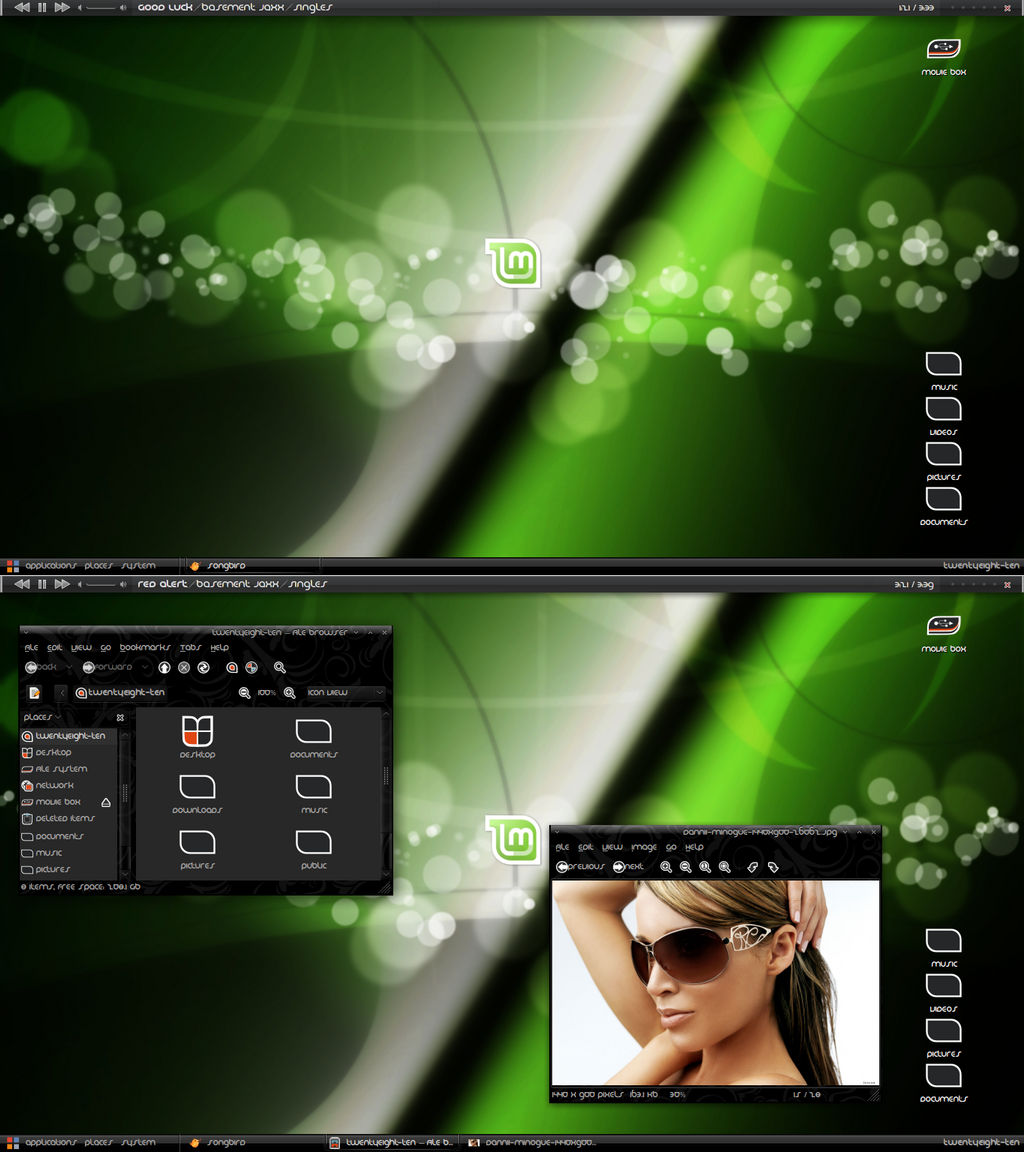 28.02.2010 Linux Mint 8