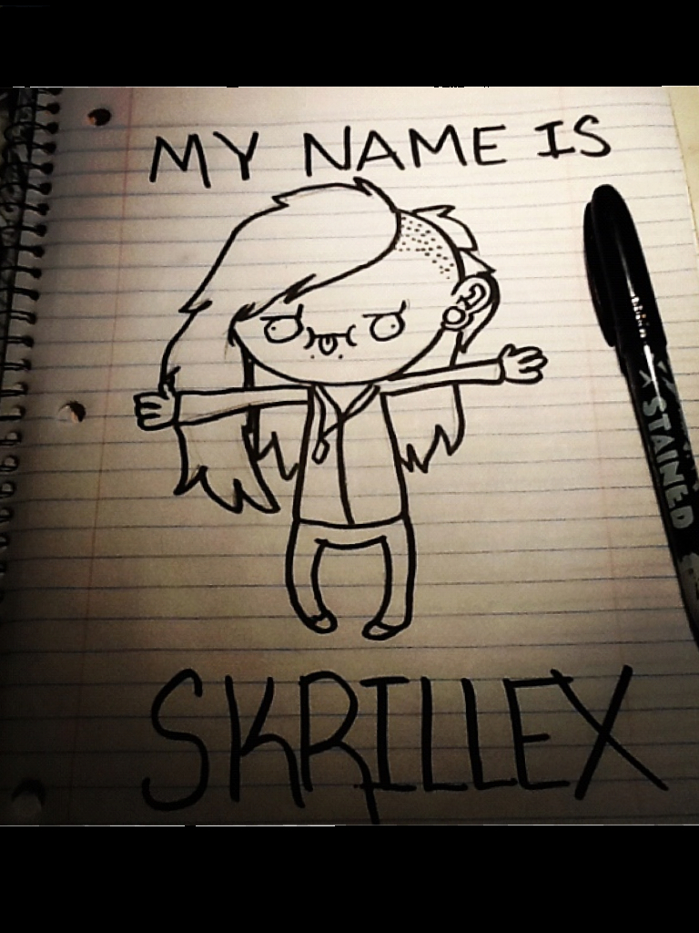 My Name Is Skrillex